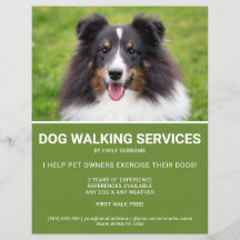 Shetland Sheepdog Photo Grönt Dog Walker Template
