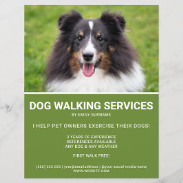 Shetland Sheepdog Photo Grönt Dog Walker Template Reklamblad