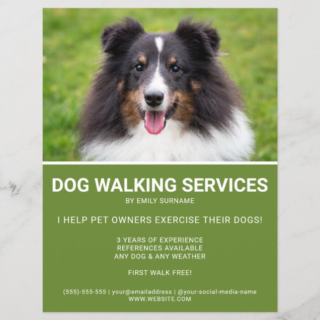 Shetland Sheepdog Photo Grönt Dog Walker Template Reklamblad (Framsidan)