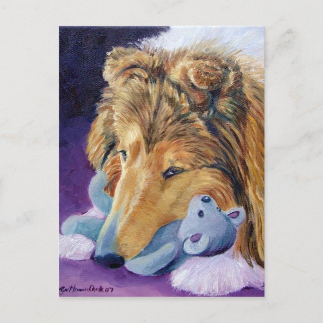 Shetland Sheepdog Postcards Vykort (Framsida)