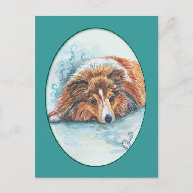 Shetland Sheepdog Postcards Vykort (Framsida)
