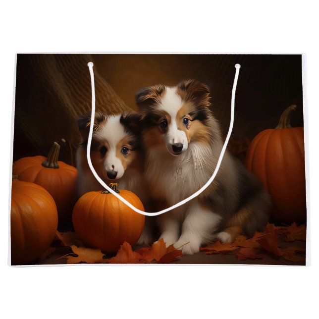 Shetland Sheepdog Puppy Autumn Delight Pumpkin (Framsidan)