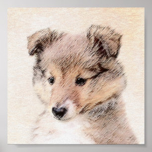 Shetland Sheepdog Puppy Painting Original Hund Art Poster