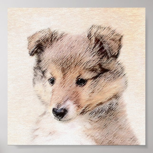 Shetland Sheepdog Puppy Painting Original Hund Art Poster (Framsidan)
