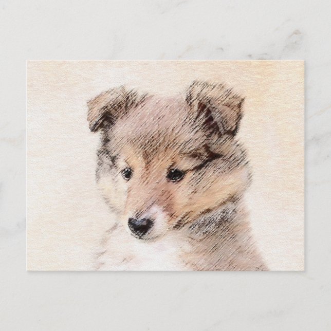 Shetland Sheepdog Puppy Painting Original Hund Art Vykort (Framsida)