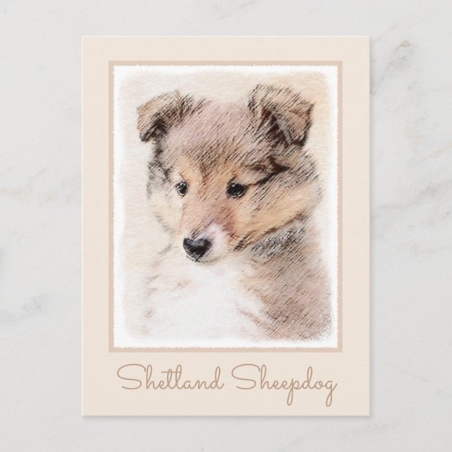 Shetland Sheepdog Puppy Painting Original Hund Art Vykort (Framsida)