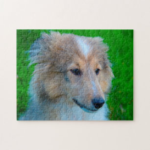 Shetland Sheepdog Pussel. Pussel