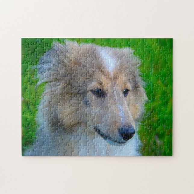 Shetland Sheepdog Pussel. Pussel (Horisontell)