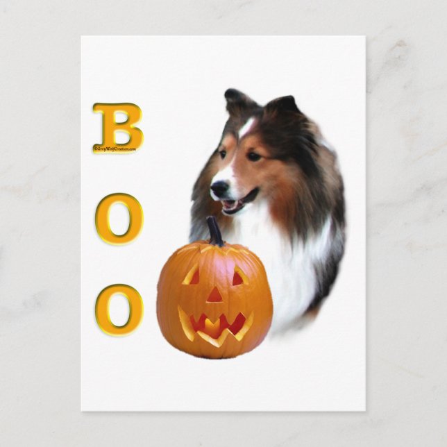 Shetland Sheepdog (sable) Boo Vykort (Framsida)