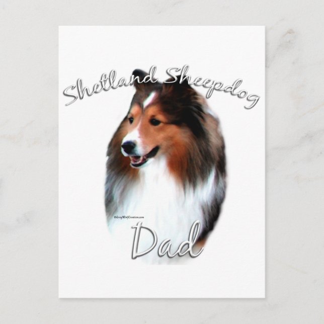 Shetland Sheepdog (sable) Pappa 2 Vykort (Framsida)