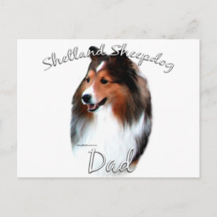 Shetland Sheepdog (sable) Pappa 2 Vykort