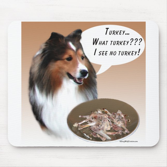 Shetland Sheepdog (sable) Turkiet Musmatta (Framsidan)