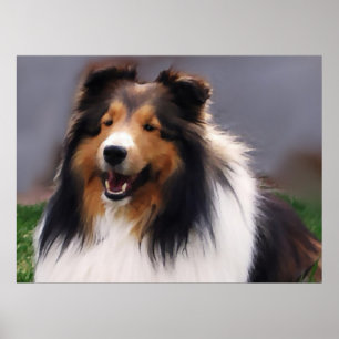 Shetland Sheepdog Sheltie Art-gåvor Poster