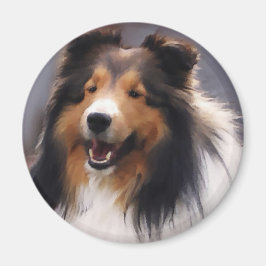 Shetland Sheepdog Sheltie Art Gifts Magnet