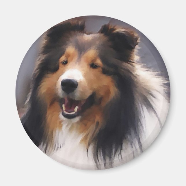 Shetland Sheepdog Sheltie Art Gifts Magnet (Framsidan)