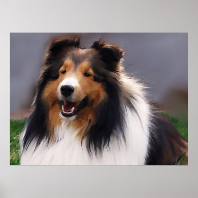 Shetland Sheepdog Sheltie Art Gifts Poster (Framsidan)