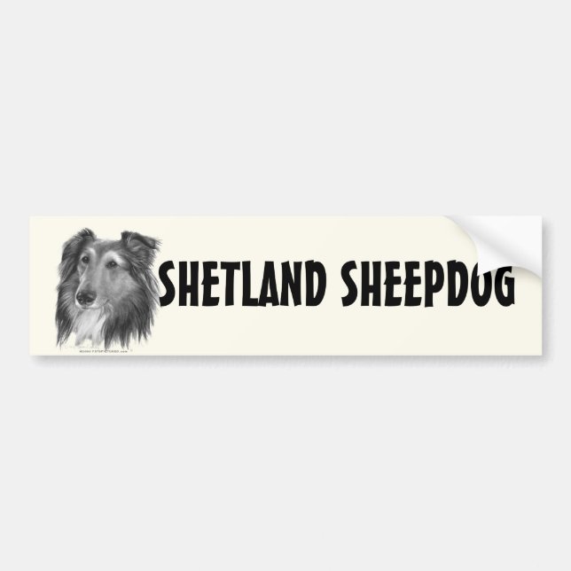 Shetland Sheepdog (Sheltie) Bildekal (Framsidan)