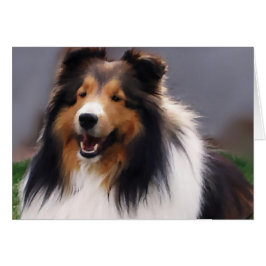 Shetland Sheepdog Sheltie Gifts Hälsningskort