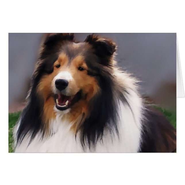 Shetland Sheepdog Sheltie Gifts Hälsningskort (Framsidan Horizontal)