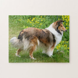 Shetland Sheepdog - Sheltie Hund Pussel