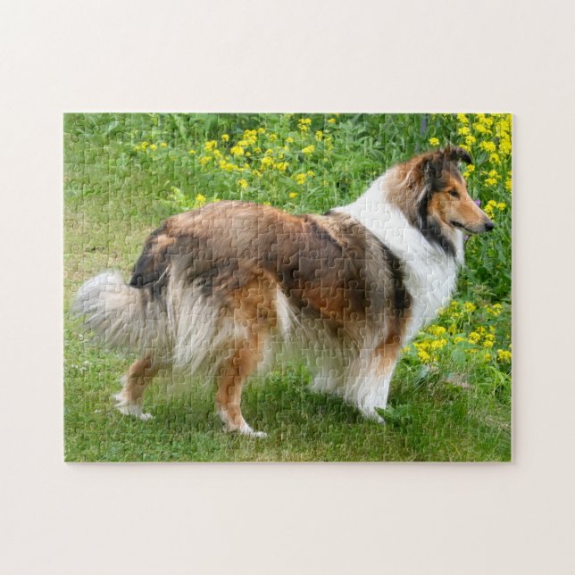 Shetland Sheepdog - Sheltie Hund Pussel (Horisontell)