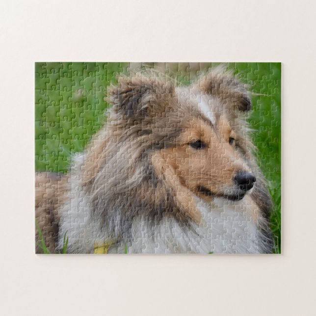 Shetland Sheepdog - Sheltie Hund Pussel (Horisontell)