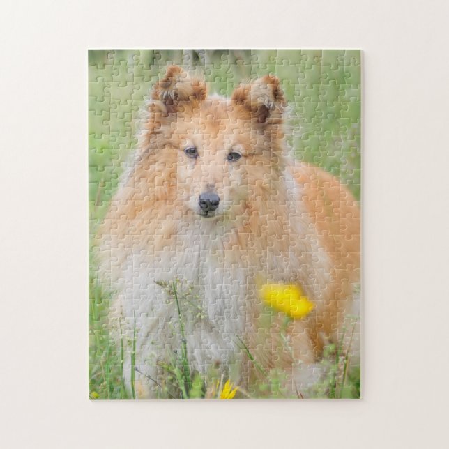 Shetland Sheepdog - Sheltie Hund Pussel (Vertikal)