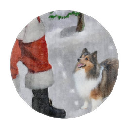 Shetland Sheepdog Sheltie jul