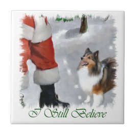 Shetland Sheepdog Sheltie jul Kakelplatta