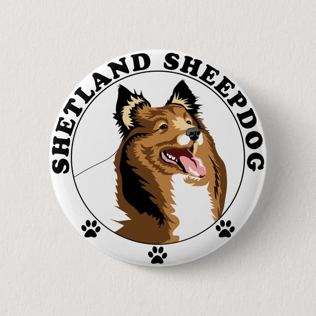 Shetland Sheepdog - Sheltie Knapp (Framsida)