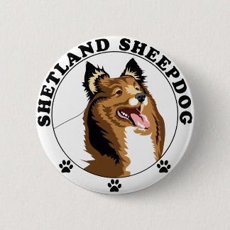 Shetland Sheepdog - Sheltie Knapp