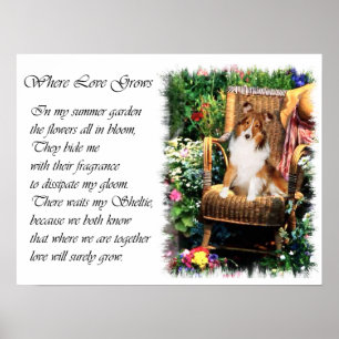 Shetland Sheepdog Sheltie Konstpresenter Poster