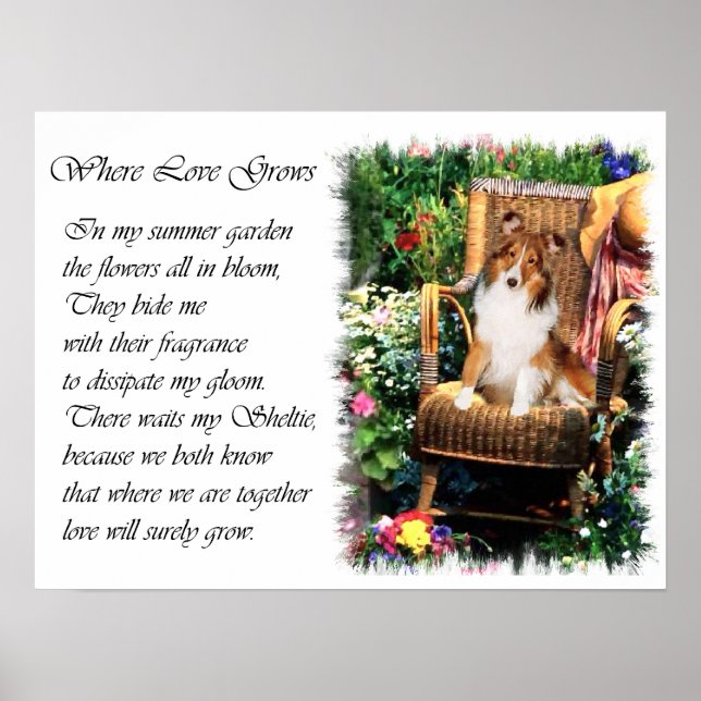Shetland Sheepdog Sheltie Konstpresenter Poster (Framsidan)