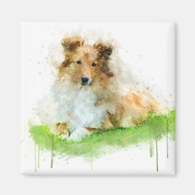 Shetland Sheepdog/sheltie Magnet (Framsidan)