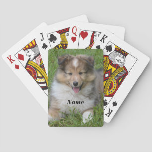 Shetland Sheepdog - Sheltie Puppy Hund Casinokort