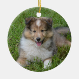 Shetland Sheepdog - Sheltie Puppy Hund Julgransprydnad Keramik