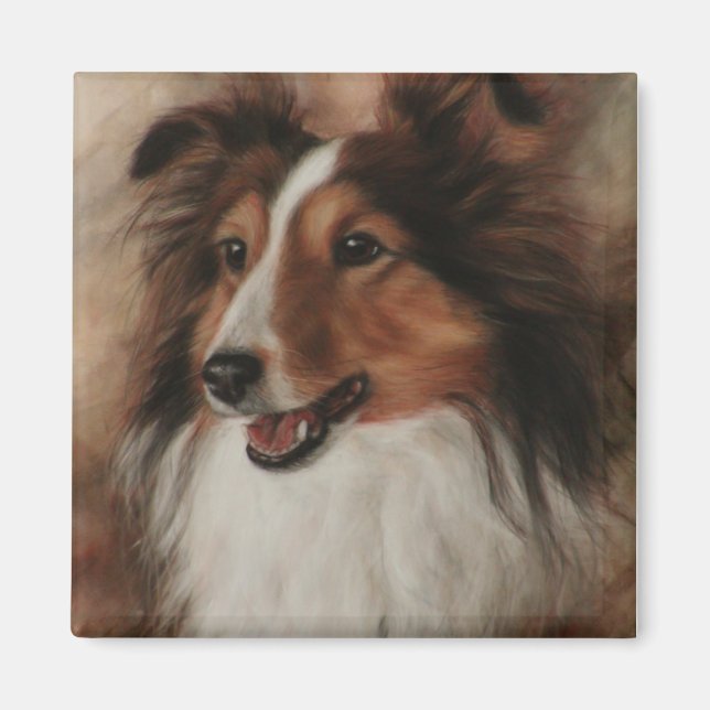 Shetland Sheepdog Sheltie smiling Magnet (Framsidan)