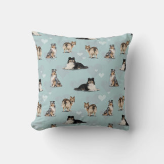 Shetland Sheepdog Shelties Kudde