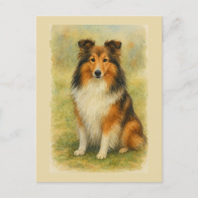 Shetland Sheepdog Sittande Akvarell  Vykort (Framsida)