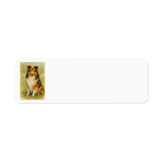 Shetland Sheepdog Sitting Watercolor  Returadress Etikett (Framsidan)