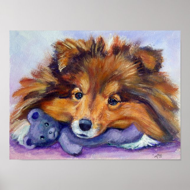Shetland Sheepdog Skriv ut Poster (Framsidan)