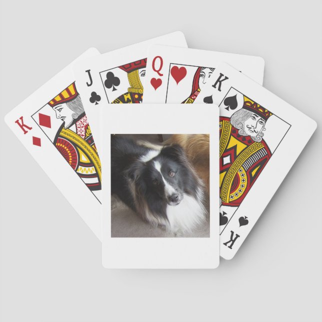 Shetland Sheepdog Svart och Vit Casinokort (Baksidan)