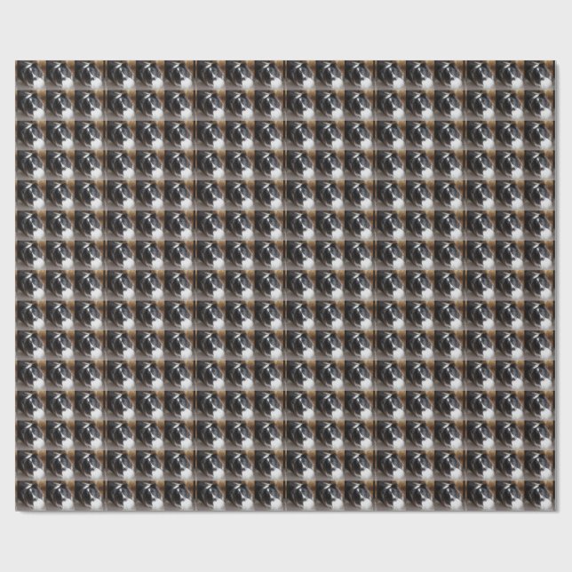 Shetland Sheepdog Svart och Vit Presentpapper (Platt)