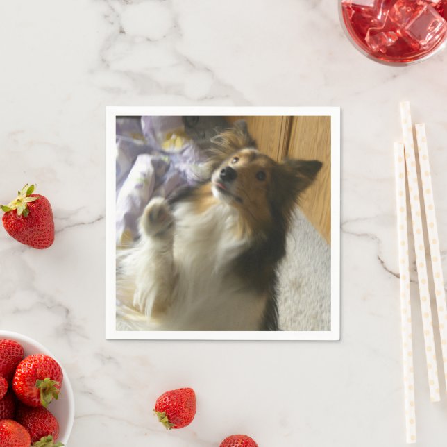 Shetland Sheepdog tigger Pappersservett (Insitu)
