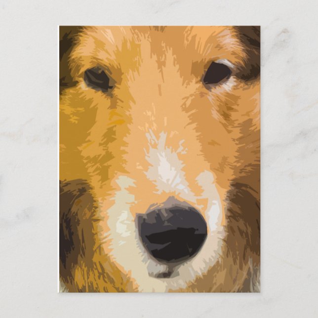 Shetland Sheepdog-vaktkort Vykort (Framsida)