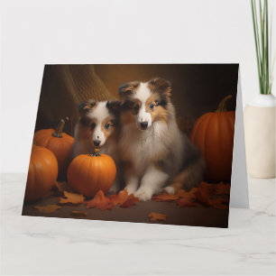 Shetland Sheepdog Valp Höstglädje Pumpa Kort