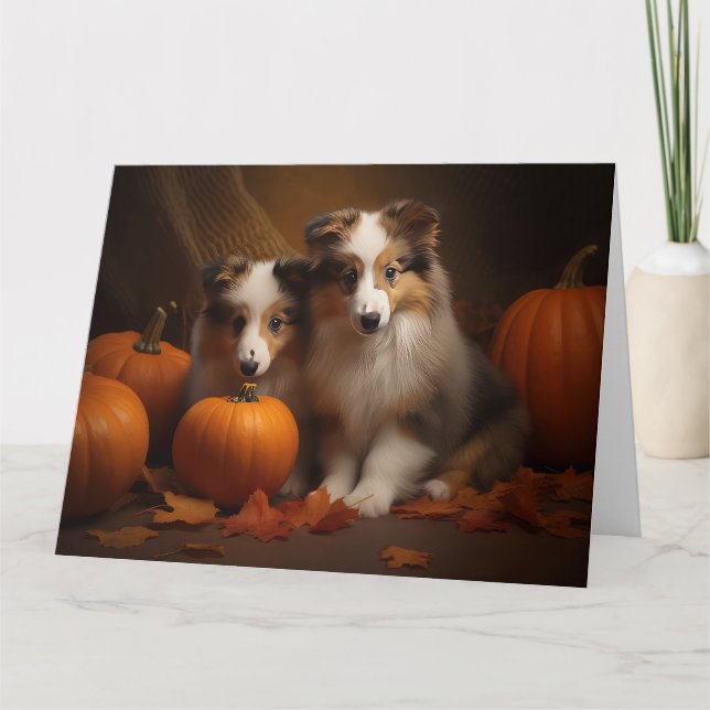 Shetland Sheepdog Valp Höstglädje Pumpa  Kort (Framsida)