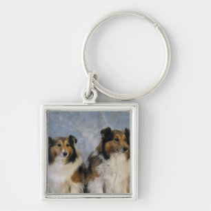 Shetland Sheepdogs Fyrkantig Silverfärgad Nyckelring