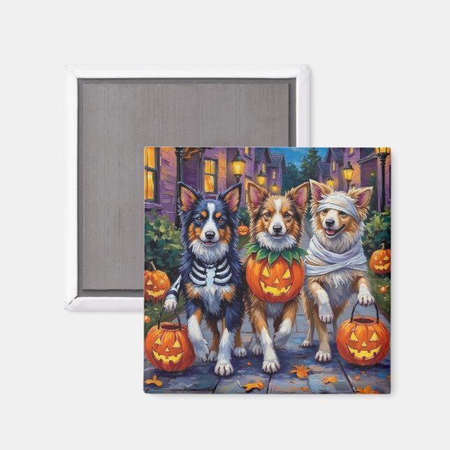 Shetland Sheepdogs i Halloween-kostymer Magnet (Front/Back)