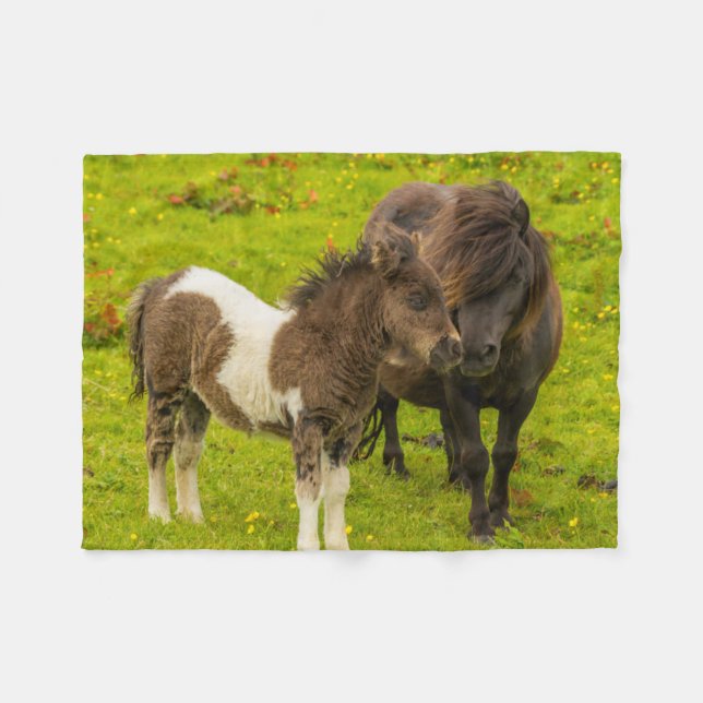 Shetlandponny mamma och avkomma fleecefilt (Framsidan (Horisontell))